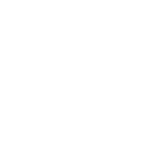 Logo für die Leichte Sprache Version