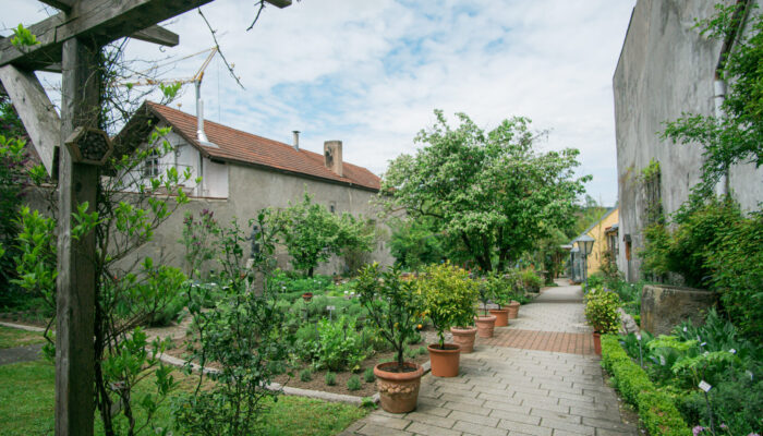 Blick in den Kräutergarten in Schnaittenbach. Vor über 25 Jahren hat der hiesige Obst- und Gartenbauverein auf über 2000 Quadratmetern einen Kräutergarten angelegt, der mit seiner Vielfalt von inzwischen mehr als 350 Kräutern, Gewürz- und Heilpflanzen seinem Namen alle Ehre macht.