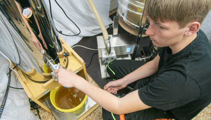 Jungimker Jannik, wie er den Honig in einen Eimer abfüllt