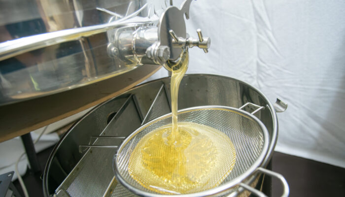 Detailaufnahme eines Metallsiebs beim Sieben des Honigs