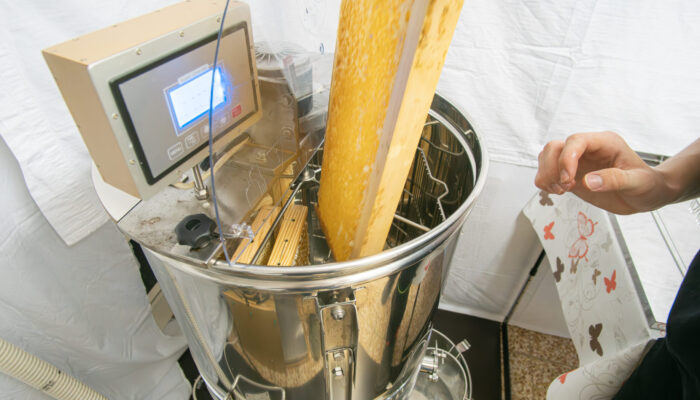 Ein Wabenrahmen wird in die Honigschleuder eingelegt, um den Honig aus den Waben zu schleudern