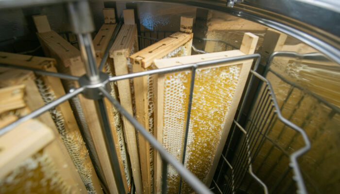 Detailaufnahme der Honigschleuder schräg von der Seite. Es sind mehrere Wabenrahmen bereits eingespannt.